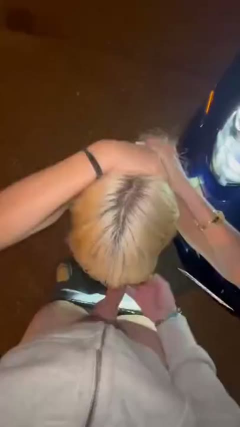 Blowjob in the evening on the street – Picture Preview