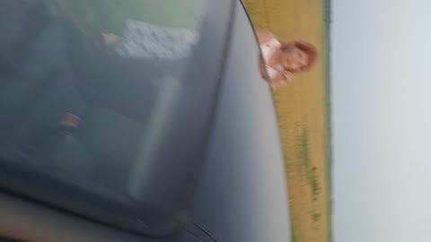 The red haired slut undressed near the road The red haired slut undressed near the road - BBW, Big Ass, Dress preview image