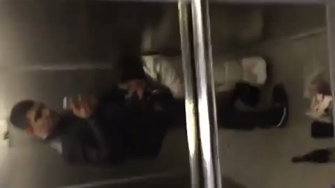 Sucked a dick in the elevator and swallowed the cum